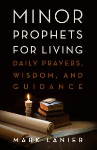 Cover image: Minor Prophets for Living 9781481320986