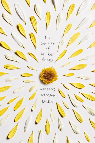 Cover image: The Summer of Broken Things 9781481417655