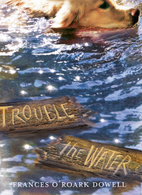 Cover image: Trouble the Water 9781481424646