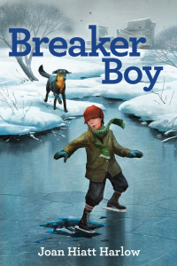 Cover image: Breaker Boy 9781481465380