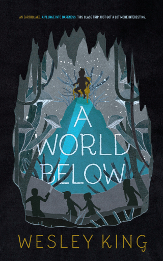 Cover image: A World Below 9781481478236