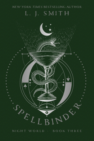 Cover image: Spellbinder 9781481486811