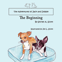 Imagen de portada: The Adventures of Jack and Dobbie 9781438948409