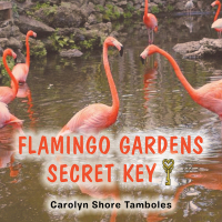 Cover image: Flamingo Gardens Secret  Key 9781481748575