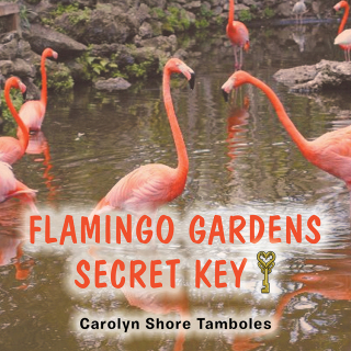 Titelbild: Flamingo Gardens Secret  Key 9781481748575