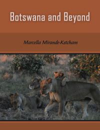 表紙画像: Botswana and Beyond 9781434341471