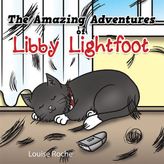 Cover image: The Amazing Adventures of Libby Lightfoot 9781456734435