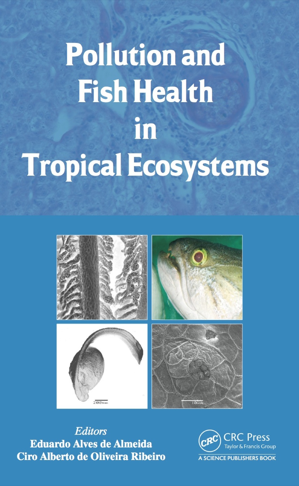 Pollution and Fish Health in Tropical Ecosystems 1st Edition