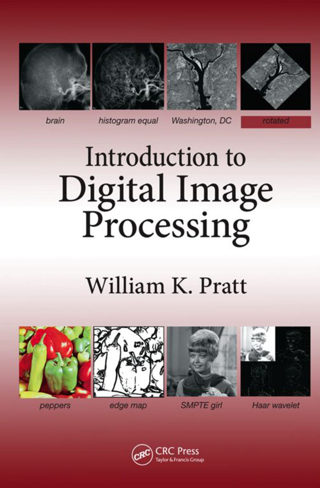Introduction to Digital Image Processing 1st Edition