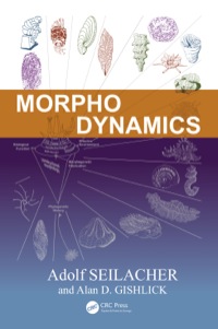 Omslagafbeelding: Morphodynamics 1st edition 9780367658960