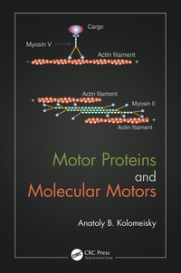Omslagafbeelding: Motor Proteins and Molecular Motors 1st edition 9781482224757