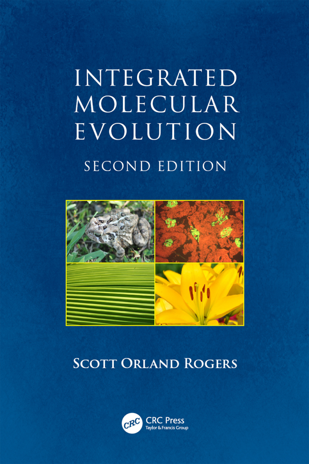 Integrated Molecular Evolution 2nd Edition
