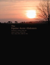 Titelbild: Equine Acute Abdomen 1st edition 9781591610298