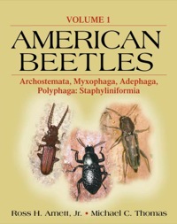 صورة الغلاف: American Beetles, Volume I 1st edition 9781138407091