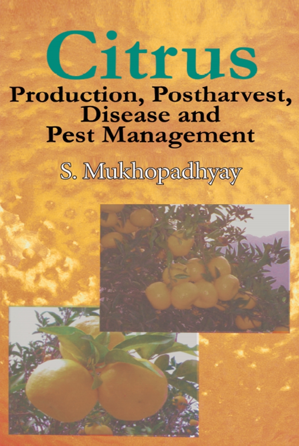 Citrus Production, Post Harvest, Disease and Pest Management 1st Edition