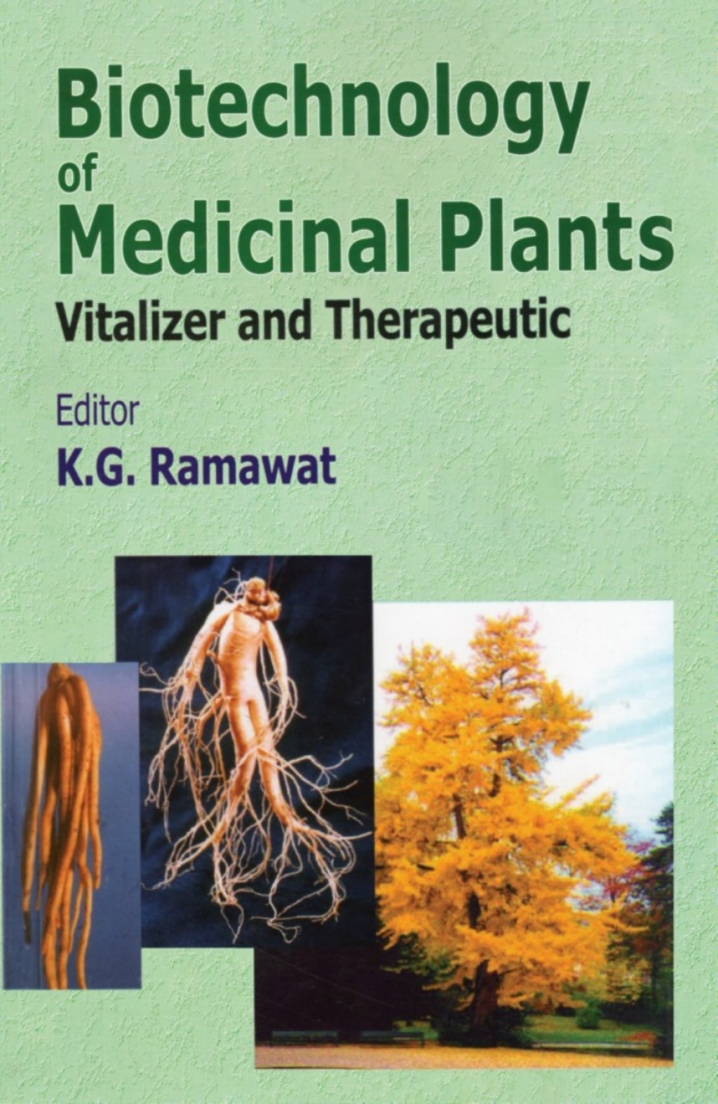 Biotechnology of Medicinal Plants Vitalizer and Therapeutic 1st Edition