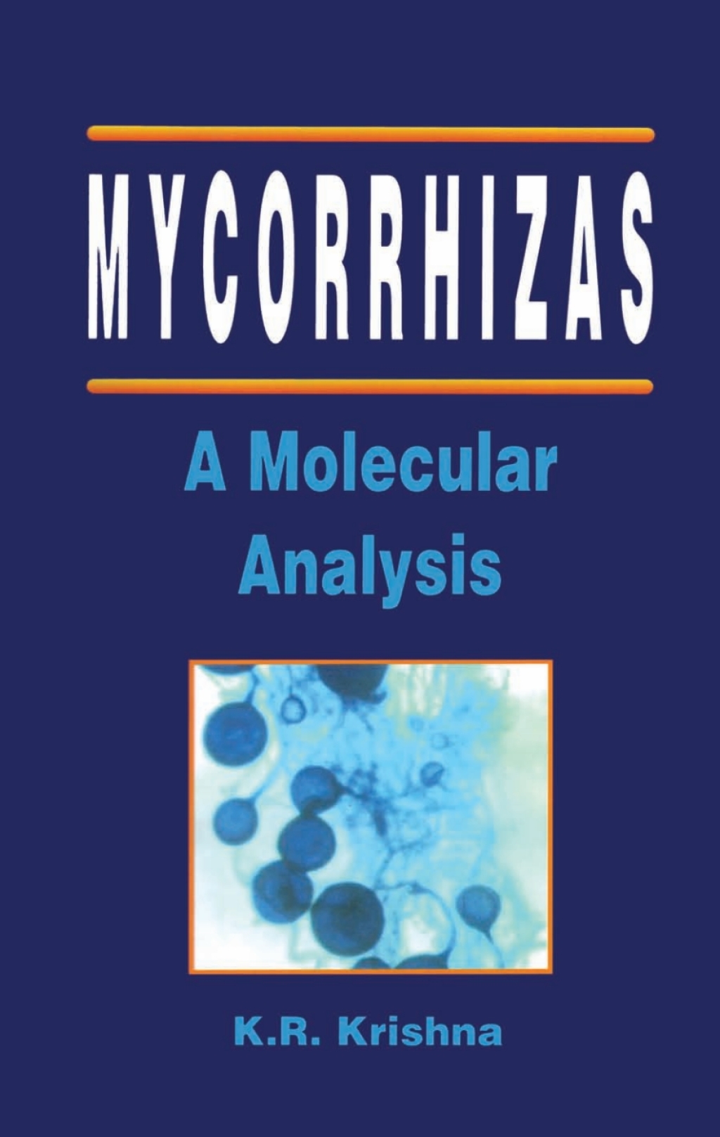 Mycorrhizas A Molecular Analysis 1st Edition