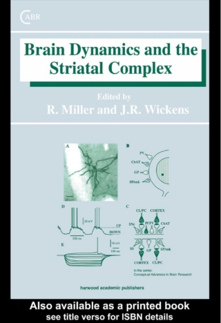 Omslagafbeelding: Brain Dynamics and the Striatal Complex 1st edition 9789057024788