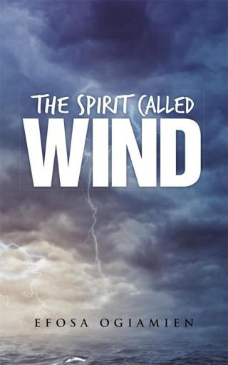 Imagen de portada: The Spirit Called Wind 9781482825183