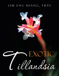 Cover image: Exotic Tillandsia 9781482829495