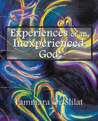 Omslagafbeelding: Experiences of an Inexperienced God 9781482832082