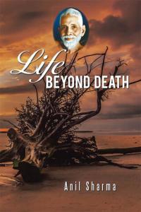 Imagen de portada: Life Beyond Death 9781482837087