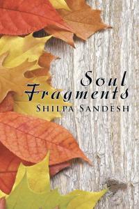 Imagen de portada: Soul Fragments 9781482840124