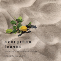 Cover image: Evergreen Leaves 9781482841718