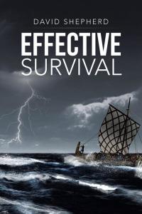 Cover image: Effective Survival 9781482844184