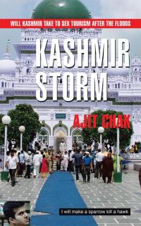 Cover image: Kashmir Storm 9781482844368