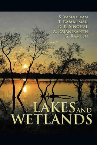 Imagen de portada: Lakes and Wetlands 9781482845457