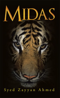 Imagen de portada: Midas