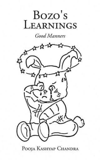 表紙画像: Bozo's Learnings 9781482847918