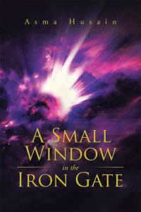 Cover image: A Small Window in the Iron Gate 9781482848311