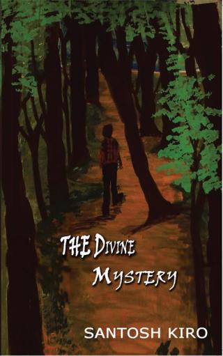 Cover image: The Divine Mystery 9781482851663