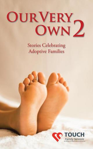 Cover image: Our Very Own 2 9781482853742