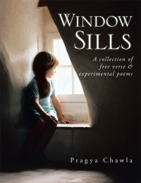 Cover image: Window Sills 9781482853995
