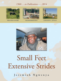 Cover image: Small Feet Extensive Strides 9781482854152