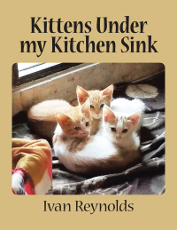 Imagen de portada: Kittens Under My Kitchen Sink 9781482855135
