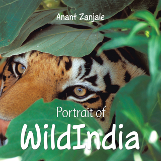 Cover image: Portrait of Wildindia 9781482857764