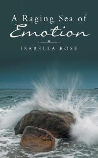 Cover image: A Raging Sea of Emotion 9781482862386