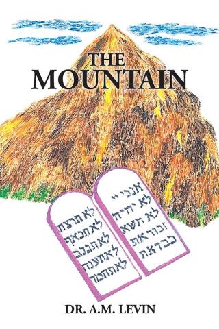 Cover image: The Mountain 9781482862416