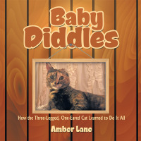 Omslagafbeelding: Baby Diddles 9781482864083