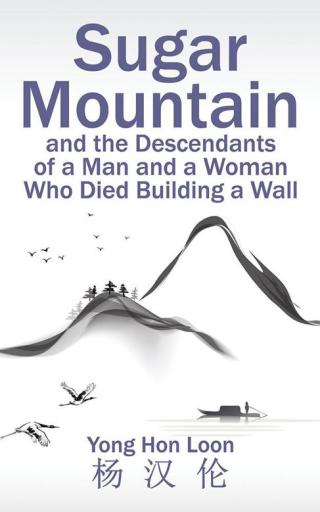 Cover image: Sugar Mountain and the Descendants of a Man and a Woman Who Died Building a Wall 9781482865271