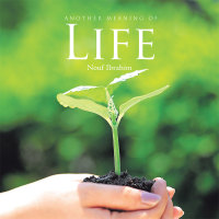 Cover image: Another Meaning of Life 9781482866629