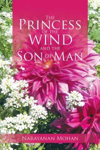 Cover image: The Princess of the Wind and the Son of Man 9781482867619