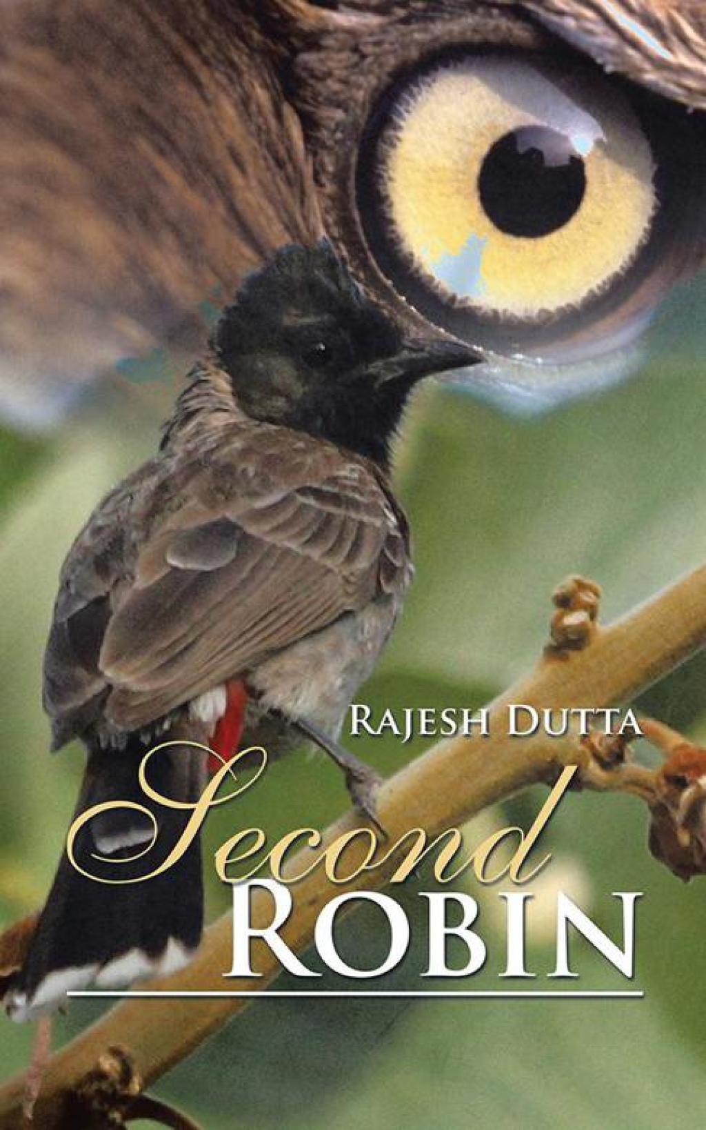 Second Robin (eBook)