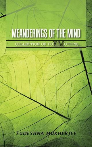 Cover image: Meanderings of the Mind 9781482868456