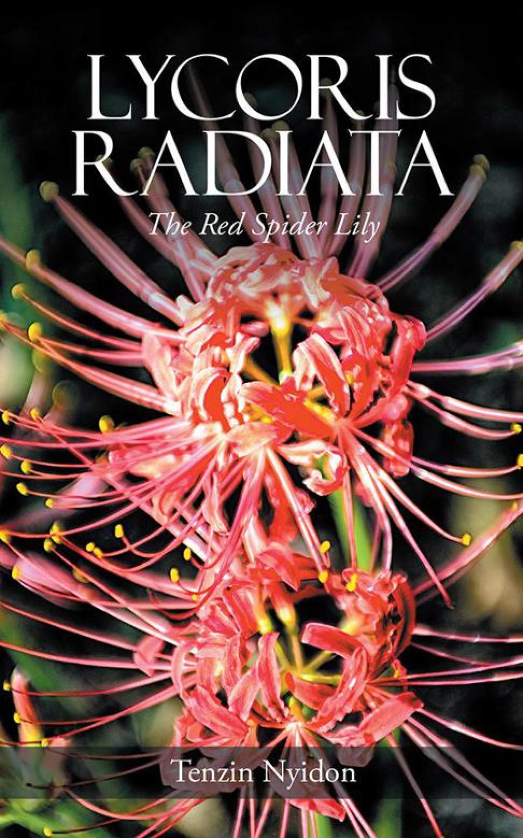 Lycoris Radiata The Red Spider Lily