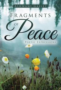 Omslagafbeelding: Fragments of Peace 9781482873375